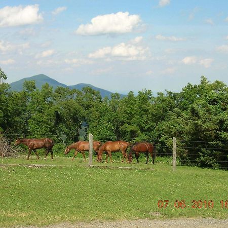Bent Mountain Lodge Bed And Breakfast, Inc. Roanoke Exterior foto