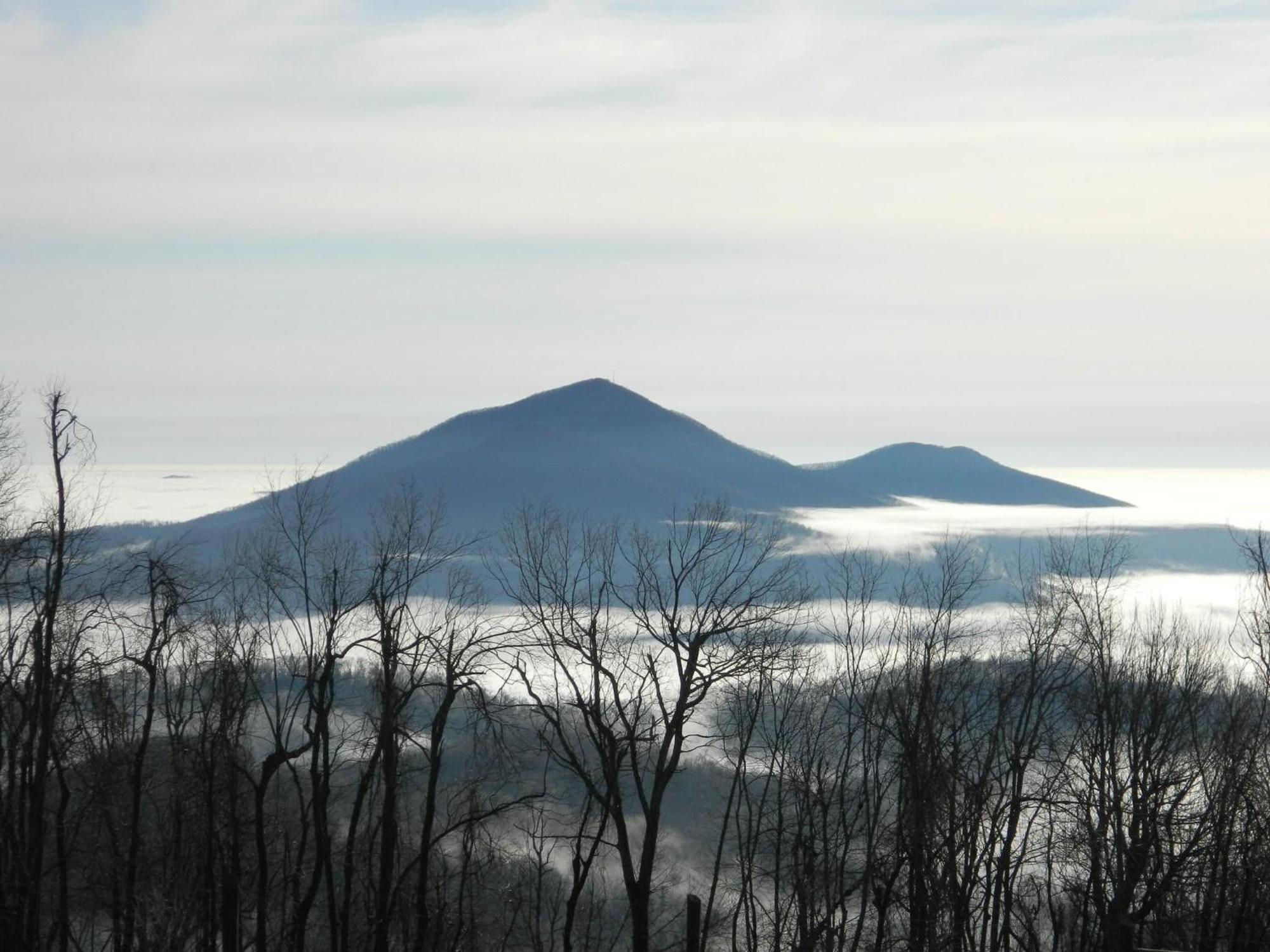 Bent Mountain Lodge Bed And Breakfast, Inc. Roanoke Exterior foto