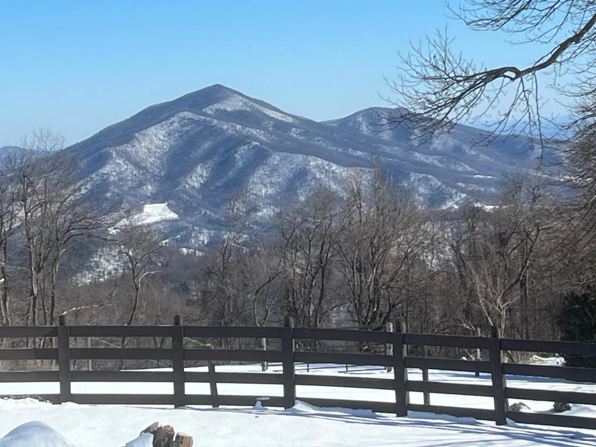 Bent Mountain Lodge Bed And Breakfast, Inc. Roanoke Exterior foto