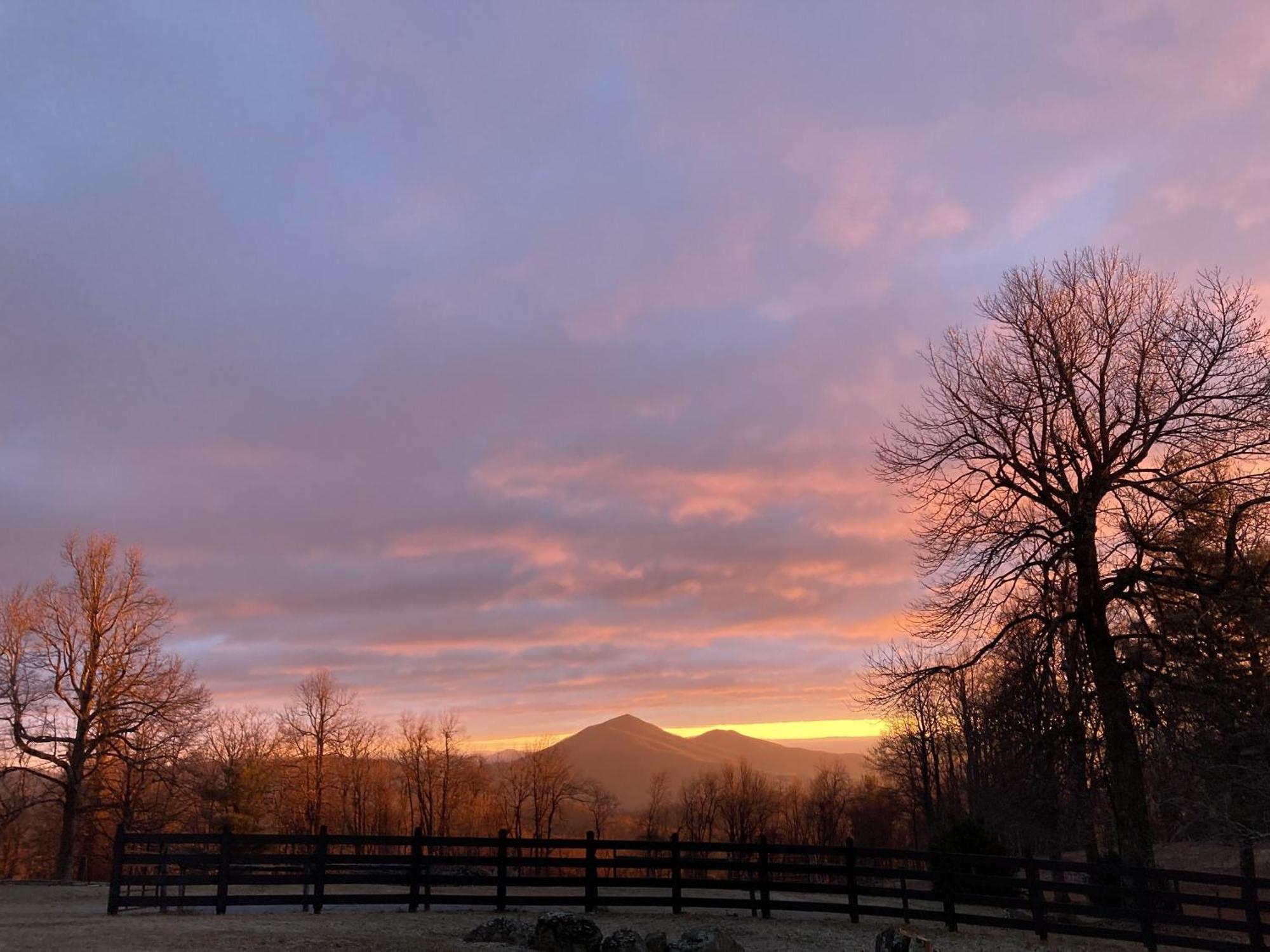 Bent Mountain Lodge Bed And Breakfast, Inc. Roanoke Exterior foto