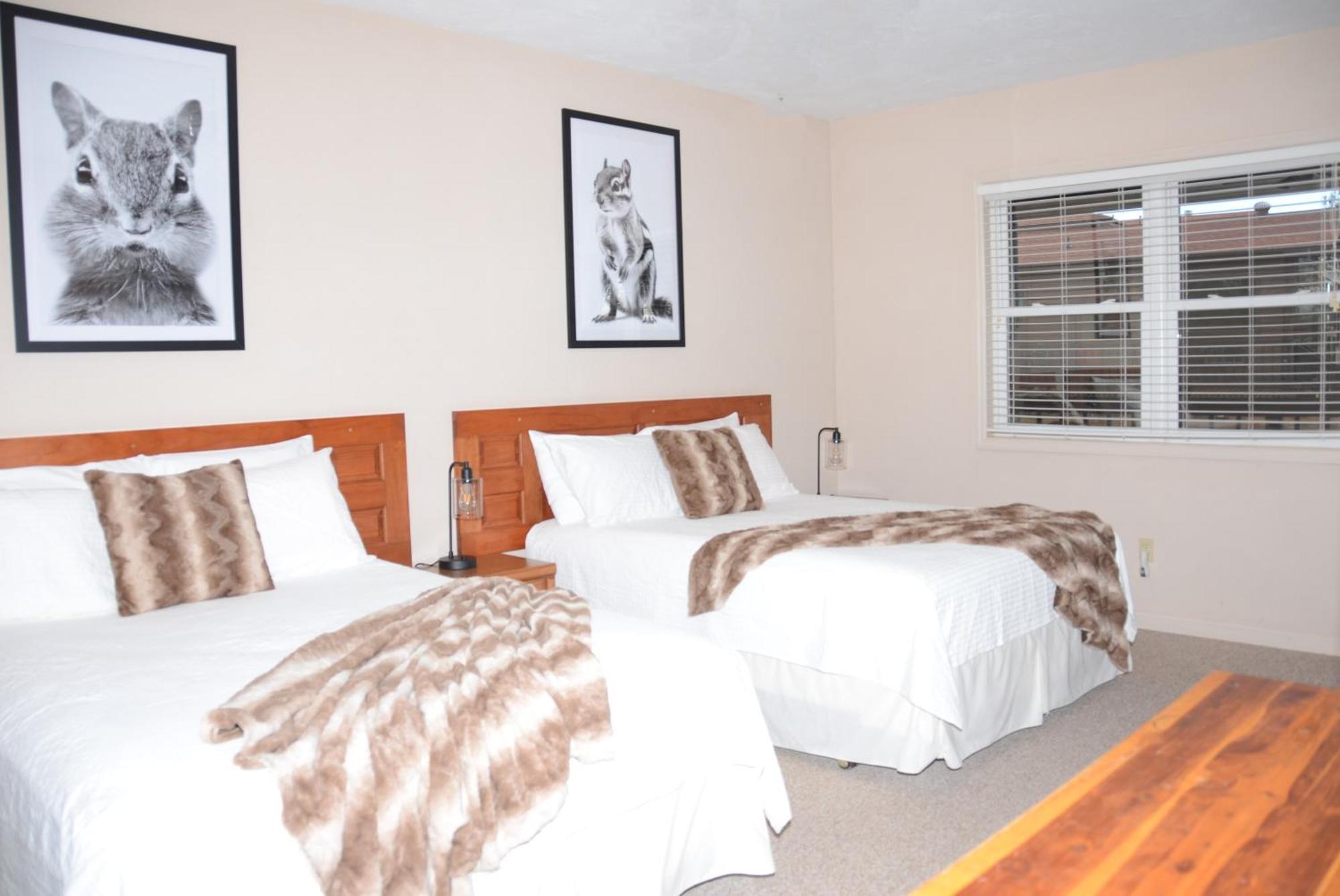 Bent Mountain Lodge Bed And Breakfast, Inc. Roanoke Exterior foto