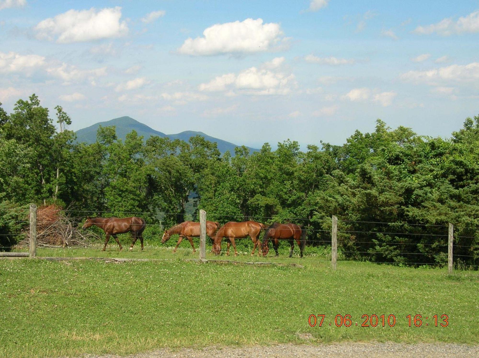 Bent Mountain Lodge Bed And Breakfast, Inc. Roanoke Exterior foto
