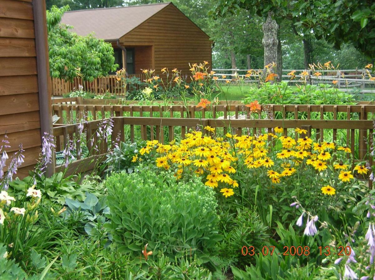 Bent Mountain Lodge Bed And Breakfast, Inc. Roanoke Exterior foto